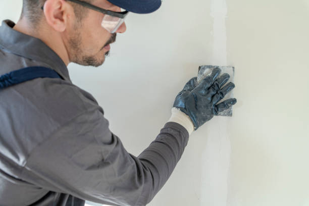 Best Touch-Up Painting  in Concord, MI